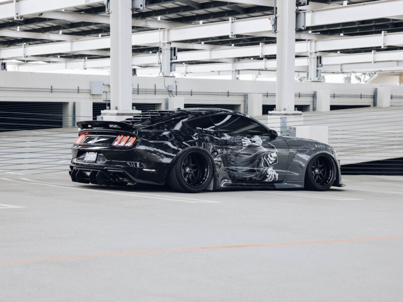 Ford Mustang - ES15(@the_eco_snake)1